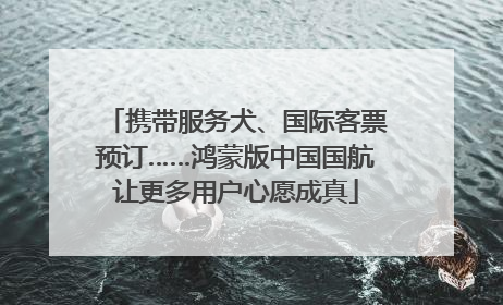 携带服务犬、国际客票预订……鸿蒙版中国国航让更多用户心愿成真