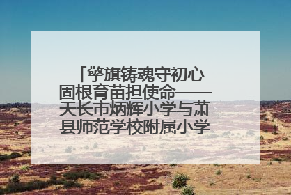 擎旗铸魂守初心 固根育苗担使命——天长市炳辉小学与萧县师范学校附属小学结对共建活动纪实