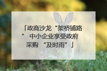 政商沙龙“架桥铺路” 中小企业享受政府采购 “及时雨”