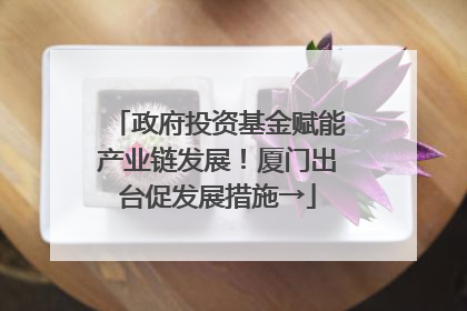 政府投资基金赋能产业链发展！厦门出台促发展措施→