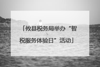 攸县税务局举办“智税服务体验日”活动