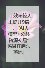 效率较人工提升9倍，“AI大模型+公共资源交易”场景在启东落地