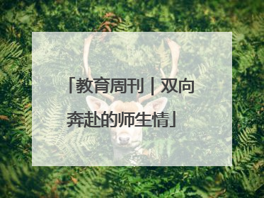 教育周刊｜双向奔赴的师生情