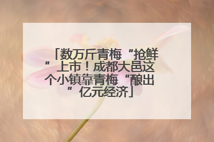 数万斤青梅“抢鲜”上市！成都大邑这个小镇靠青梅“酿出”亿元经济