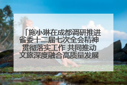 施小琳在成都调研推进省委十二届七次全会精神贯彻落实工作 共同推动文旅深度融合高质量发展 加快打造支柱产业民生产业幸福产业