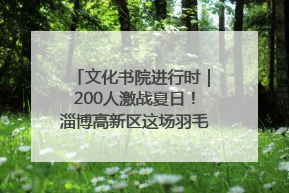 文化书院进行时｜200人激战夏日！淄博高新区这场羽毛球比赛太酷