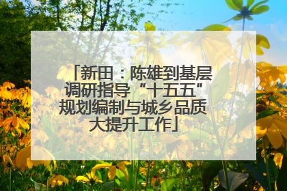 新田：陈雄到基层调研指导“十五五”规划编制与城乡品质大提升工作