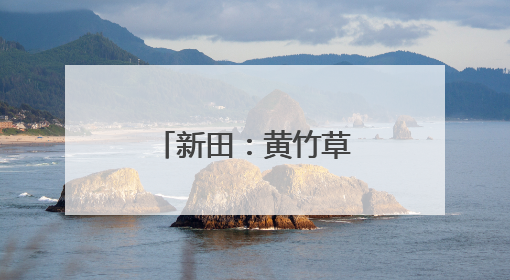 新田：黄竹草养出“致富牛” 农户信心足
