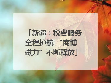 新疆：税费服务全程护航 “商博磁力”不断释放