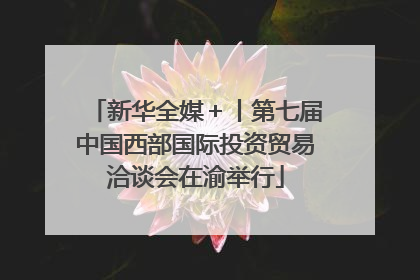 新华全媒＋丨第七届中国西部国际投资贸易洽谈会在渝举行