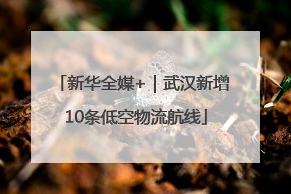 新华全媒+｜武汉新增10条低空物流航线