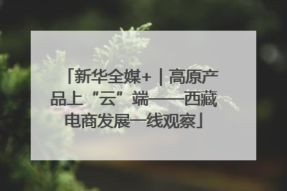 新华全媒+｜高原产品上“云”端——西藏电商发展一线观察