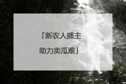 新农人播主 助力卖瓜难