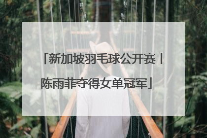 新加坡羽毛球公开赛丨陈雨菲夺得女单冠军