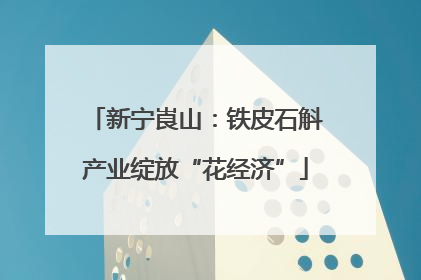 新宁崀山：铁皮石斛产业绽放“花经济”