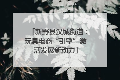 新野县汉城街道：玩具电商“引擎”激活发展新动力