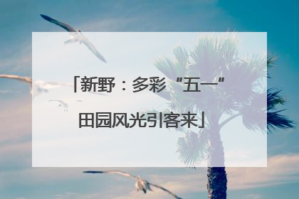 新野：多彩“五一” 田园风光引客来
