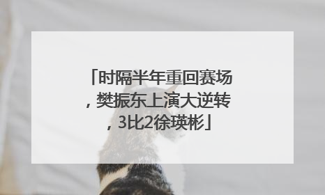 时隔半年重回赛场，樊振东上演大逆转，3比2徐瑛彬