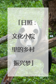 日照：文化小院里的乡村振兴梦