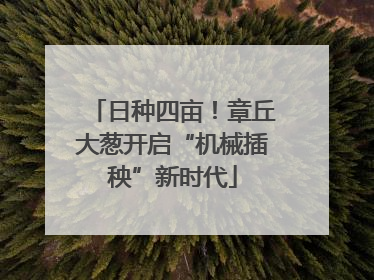 日种四亩！章丘大葱开启“机械插秧”新时代