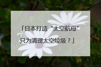 日本打造“太空航母”只为清理太空垃圾？