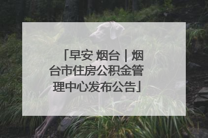 早安 烟台｜烟台市住房公积金管理中心发布公告