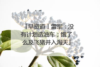 早资道丨雷军：没有计划造油车；饿了么及飞猪并入淘天