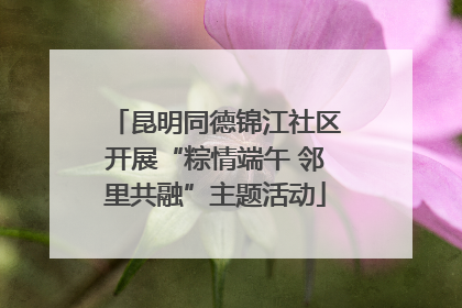 昆明同德锦江社区开展“粽情端午 邻里共融”主题活动
