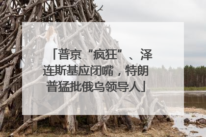 普京“疯狂”、泽连斯基应闭嘴，特朗普猛批俄乌领导人