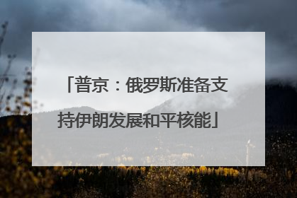 普京：俄罗斯准备支持伊朗发展和平核能