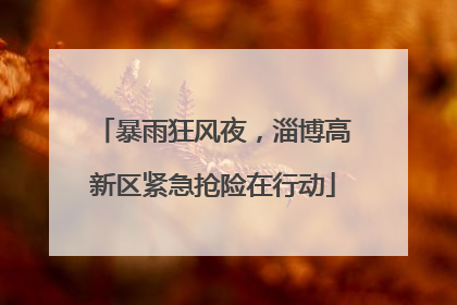 暴雨狂风夜，淄博高新区紧急抢险在行动
