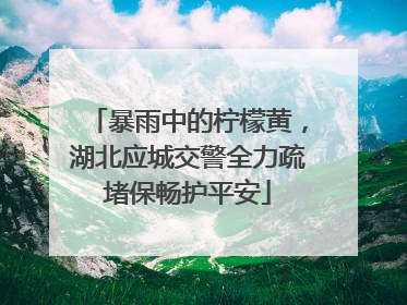 暴雨中的柠檬黄，湖北应城交警全力疏堵保畅护平安