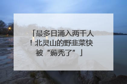 最多日涌入两千人！北灵山的野韭菜快被“薅秃了”