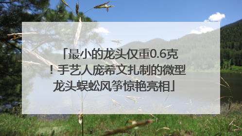 最小的龙头仅重0.6克！手艺人庞希文扎制的微型龙头蜈蚣风筝惊艳亮相