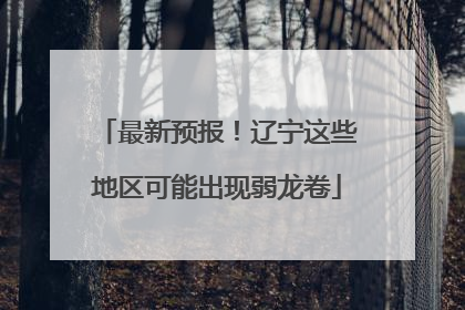 最新预报！辽宁这些地区可能出现弱龙卷