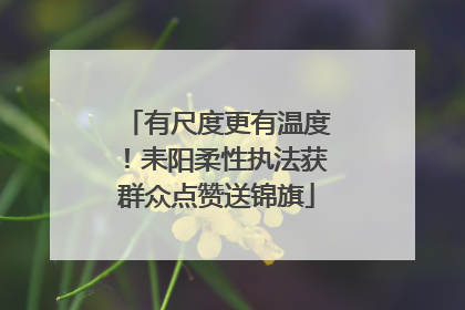 有尺度更有温度！耒阳柔性执法获群众点赞送锦旗