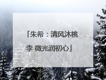 朱希：清风沐桃李 微光润初心