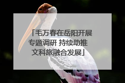 毛万春在岳阳开展专题调研 持续助推文科旅融合发展