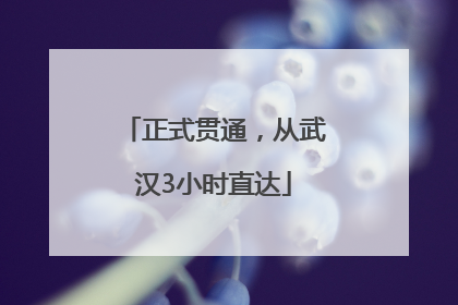 正式贯通，从武汉3小时直达