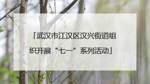 武汉市江汉区汉兴街道组织开展“七一”系列活动