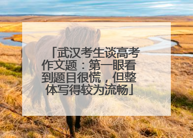 武汉考生谈高考作文题：第一眼看到题目很慌，但整体写得较为流畅