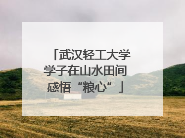 武汉轻工大学学子在山水田间感悟“粮心”