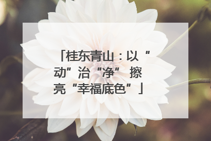 桂东青山：以“动”治“净” 擦亮“幸福底色”