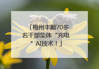 梅州丰顺70多名干部集体“充电”AI技术！