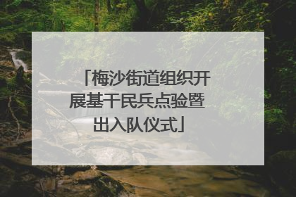 梅沙街道组织开展基干民兵点验暨出入队仪式