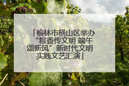 榆林市横山区举办“粽香传文明 端午颂新风”新时代文明实践文艺汇演