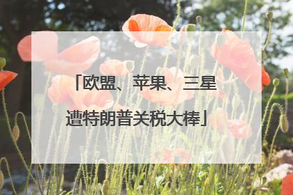 欧盟、苹果、三星遭特朗普关税大棒