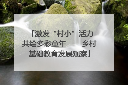 激发“村小”活力 共绘多彩童年——乡村基础教育发展观察
