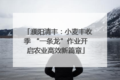 濮阳清丰：小麦丰收季 “一条龙”作业开启农业高效新篇章