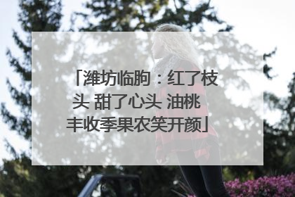 潍坊临朐：红了枝头 甜了心头 油桃丰收季果农笑开颜